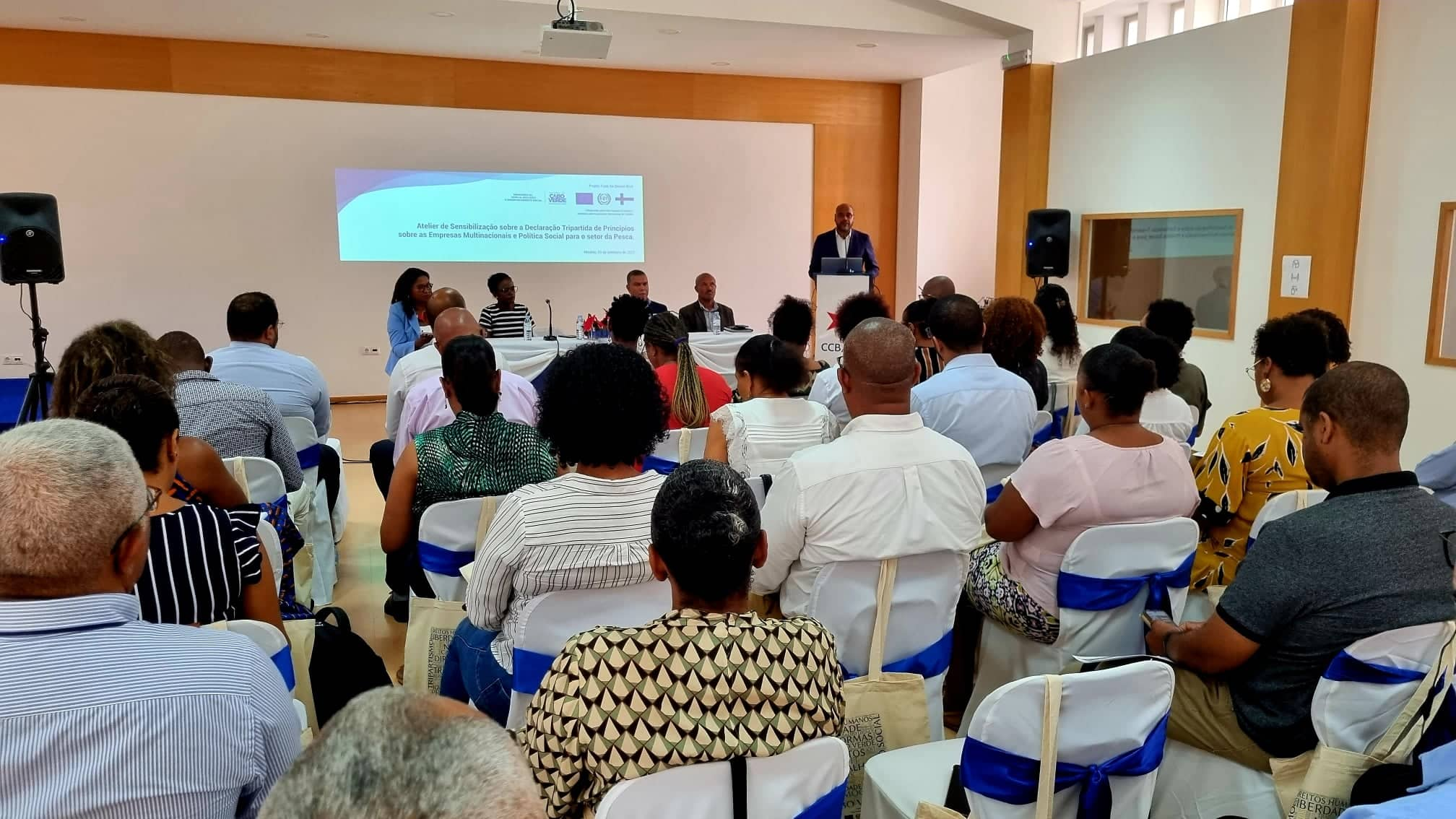 MFDS preside abertura do atelier “Como podem as empresas da indústria de transformação e processamento do pescado contribuir para realização de trabalho digno - Orientações fornecidas pela Declaração MNE da OIT” 